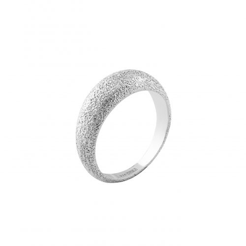 skinande ring i borstat silver