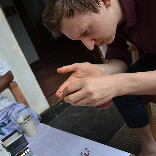 Johannes Orstadius kontrollerar råa safirer på Sri Lanka.