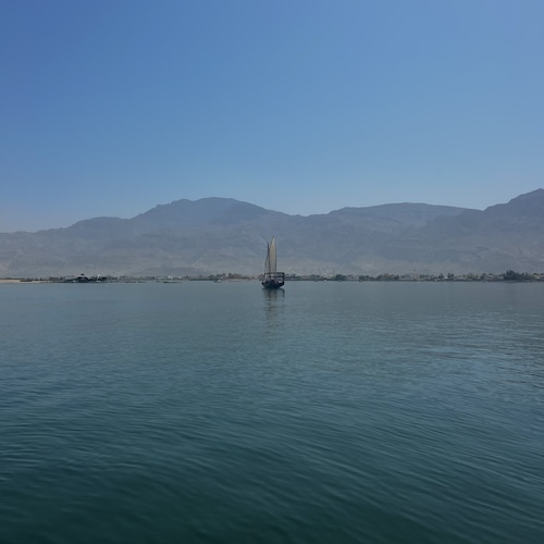 påväg till farm för pärlor