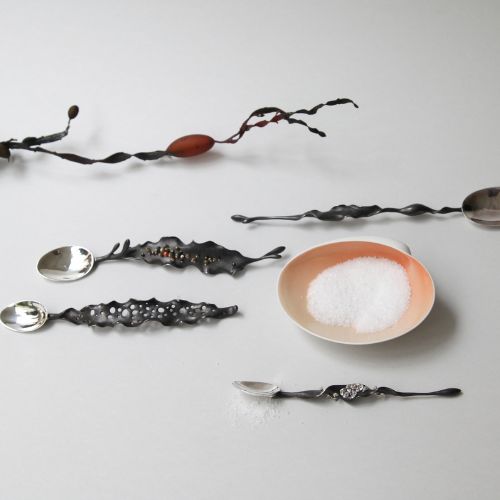 Seaweed Spoons with Salt